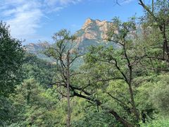 -泰山风景名胜区