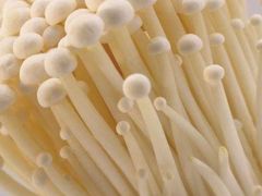 金针菇-丽江龙继斑鱼庄(东兴路店)