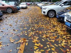 -四川大学(望江校区)