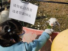 -菊园百果园
