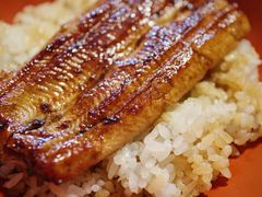 -料亭菊水楼