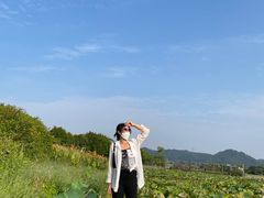 -光明小镇欢乐田园
