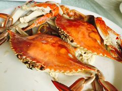 -赶海部落海鲜城(海阳路店)