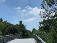 -贡湖湾湿地公园
