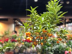 -果蔬好生活超市(乐堤港店)