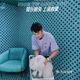 第一次见到这么大的🐰安哥拉兔/完全抱不动