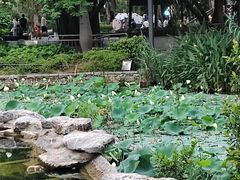 -四海公园(南山区)