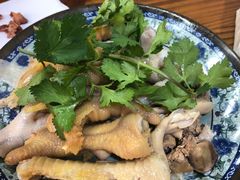 时件-九斤黄三黄鸡专卖店