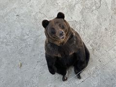 -哈尔滨北方森林动物园