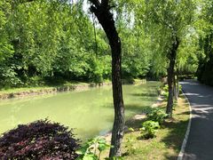 -合肥三国新城遗址公园