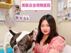 -美联众合爱康动物医院•复杂内科•肿瘤科•牙科•腔镜诊疗中心