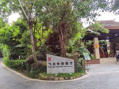 -三亚亚龙湾人间天堂鸟巢度假村