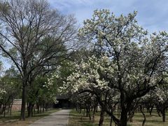 -承德避暑山庄景区
