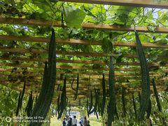 -中国天府农业博览园