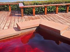 -天目湖涵田半山温泉