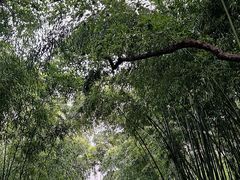 -苏州河梦清园环保主题公园