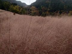 -昆嵛山石门里景区