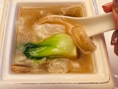 松茸炖花胶汤-新天世纪中餐厅