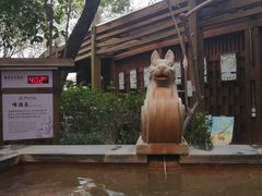 -张家港金凤凰度假村温泉