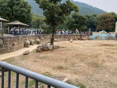-无锡动物园·太湖欢乐园