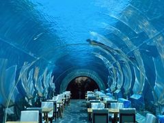 -涛·海底餐厅·美人鱼·自助餐·海底隧道(三亚海棠湾洲际度假酒店)