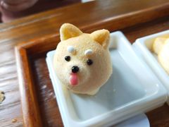 -柴犬高等学院·狗咖·柴犬售卖·宠物训练