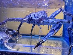 -红门金汤·港式火锅(英皇集团中心店)