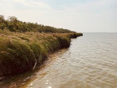 -天津东丽湖风景区