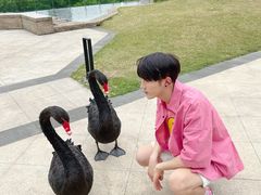 -行者书屋大堂吧 ·下午茶(南京圣和府邸酒店)