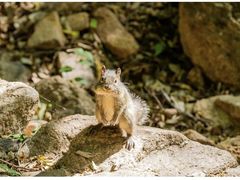 -云峰山自然风景区