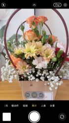 -莲芯花月子会所