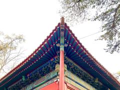 -潭柘寺景区