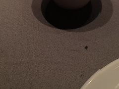 -徐记海鲜(汉城湖|太奥店)