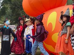 -HERRE·FARM 赫尔露营农场·团建聚会包场