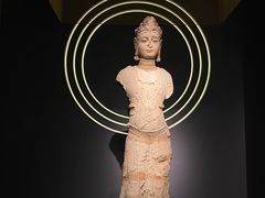 -四川大学博物馆
