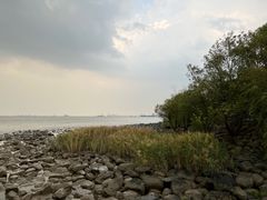 -上海吴淞炮台湾国家湿地公园