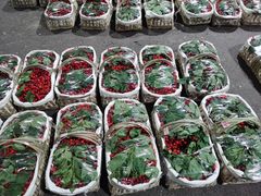 -菜园坝水果市场