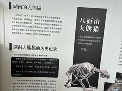 -湖南省地质博物馆