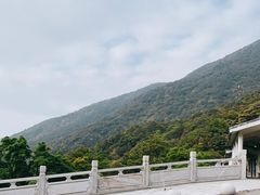 -梧桐山风景名胜区