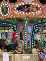 -卡通尼·Safari非洲探索乐园·生日会(金桥国际商业广场店)