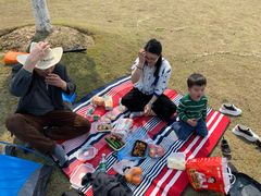 -上海长兴岛郊野公园