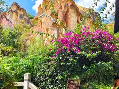 -彩色沙林风景区