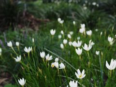 -苏州河梦清园环保主题公园