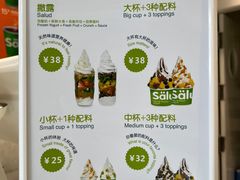 -Salud撒露欧洲冻酸奶(798艺术区店)