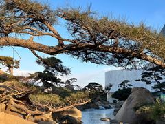 -罗红摄影艺术馆