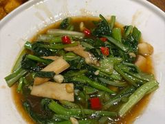 -鸽子窝(青塔店)