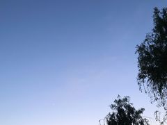 -洨河生态公园