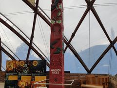 -怀托摩萤火虫洞