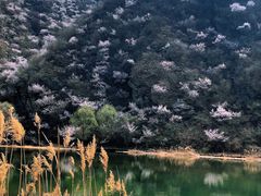-百里山水画廊