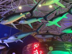 -烟台海昌鲸鲨海洋公园
